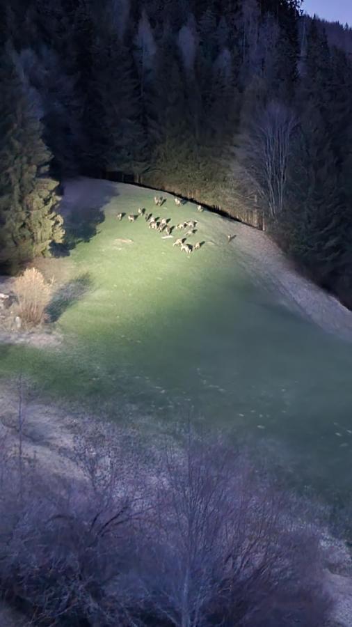 Ferienwohnungen Rabensteiner Bad Kleinkirchheim Bagian luar foto
