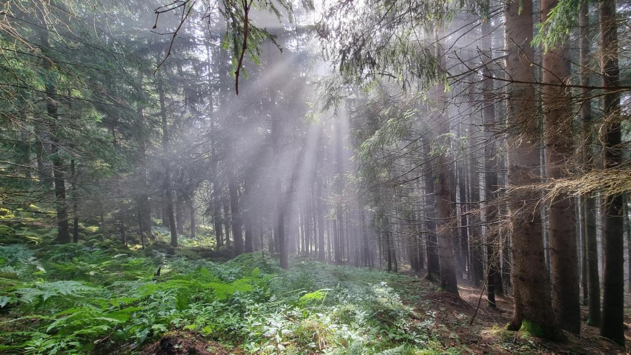 Ferienwohnungen Rabensteiner Bad Kleinkirchheim Bagian luar foto