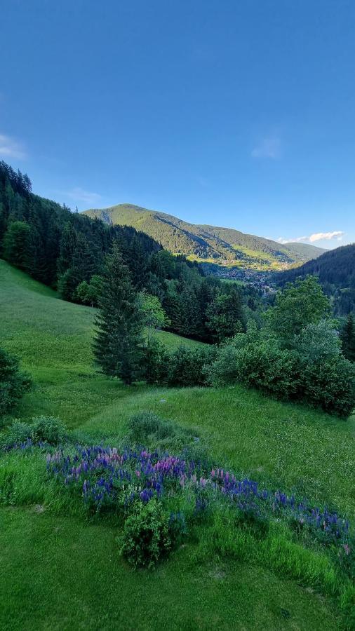 Ferienwohnungen Rabensteiner Bad Kleinkirchheim Bagian luar foto